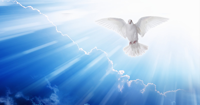 holy-spirit-holy-ghost